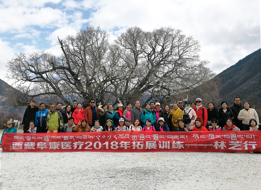 西藏阜康醫(yī)療2018年拓展訓(xùn)練——增強(qiáng)團(tuán)隊(duì)凝聚力、提升團(tuán)隊(duì)協(xié)作能力，更好地為患者服務(wù)