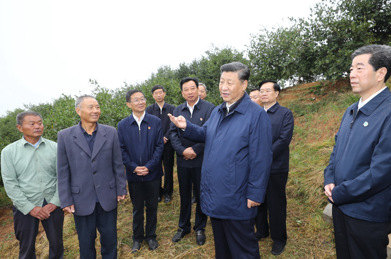 　　9月16日至18日，中共中央總書(shū)記、國(guó)家主席、中央軍委主席習(xí)近平在河南考察。這是17日上午，習(xí)近平來(lái)到信陽(yáng)市光山縣槐店鄉(xiāng)司馬光油茶園，同正在勞作的村民和管理人員交流。 新華社記者 鞠鵬 攝