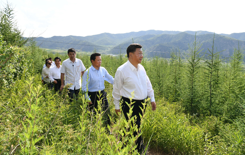 7月15日至16日，中共中央總書記、國家主席、中央軍委主席習近平在內(nèi)蒙古考察并指導開展“不忘初心、牢記使命”主題教育。這是15日下午，習近平在赤峰市喀喇沁旗馬鞍山林場林區(qū)，沿著崎嶇的護林小道察看林木長勢。